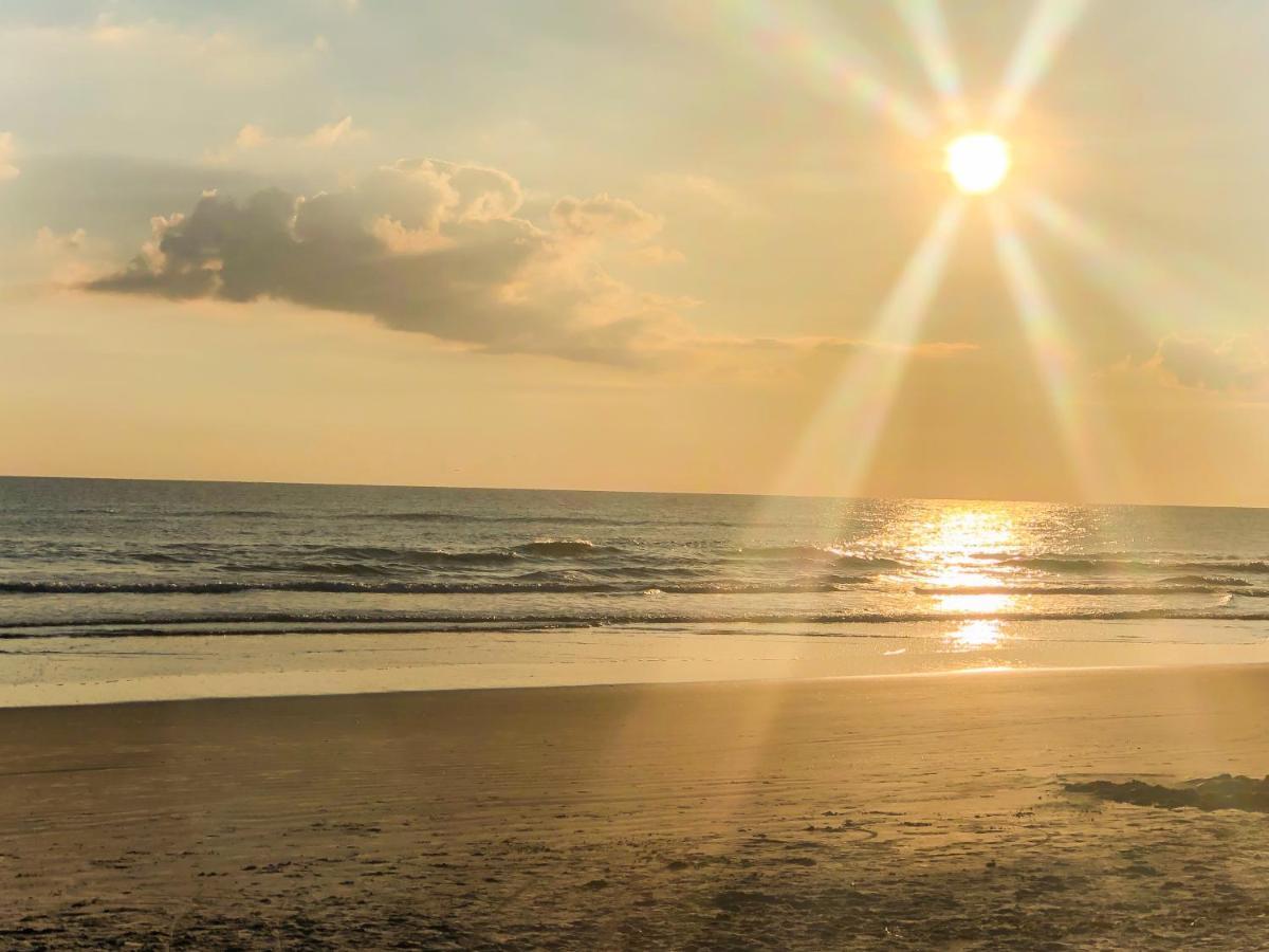 Daytona Beach Shores Sand Dollar Condominiums מראה חיצוני תמונה